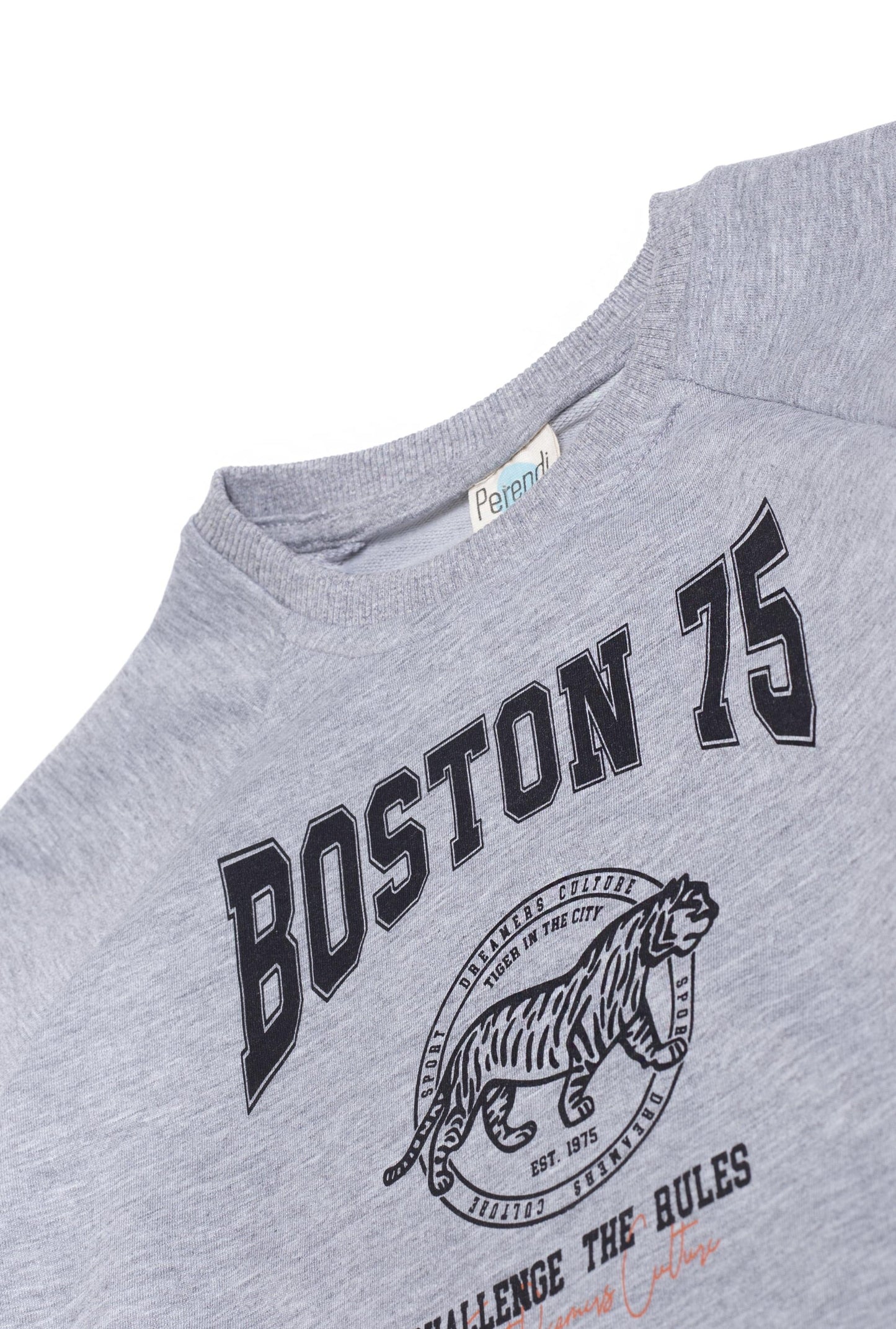 Boston Baskılı Erkek Çocuk Sweatshirt Gri Melanj