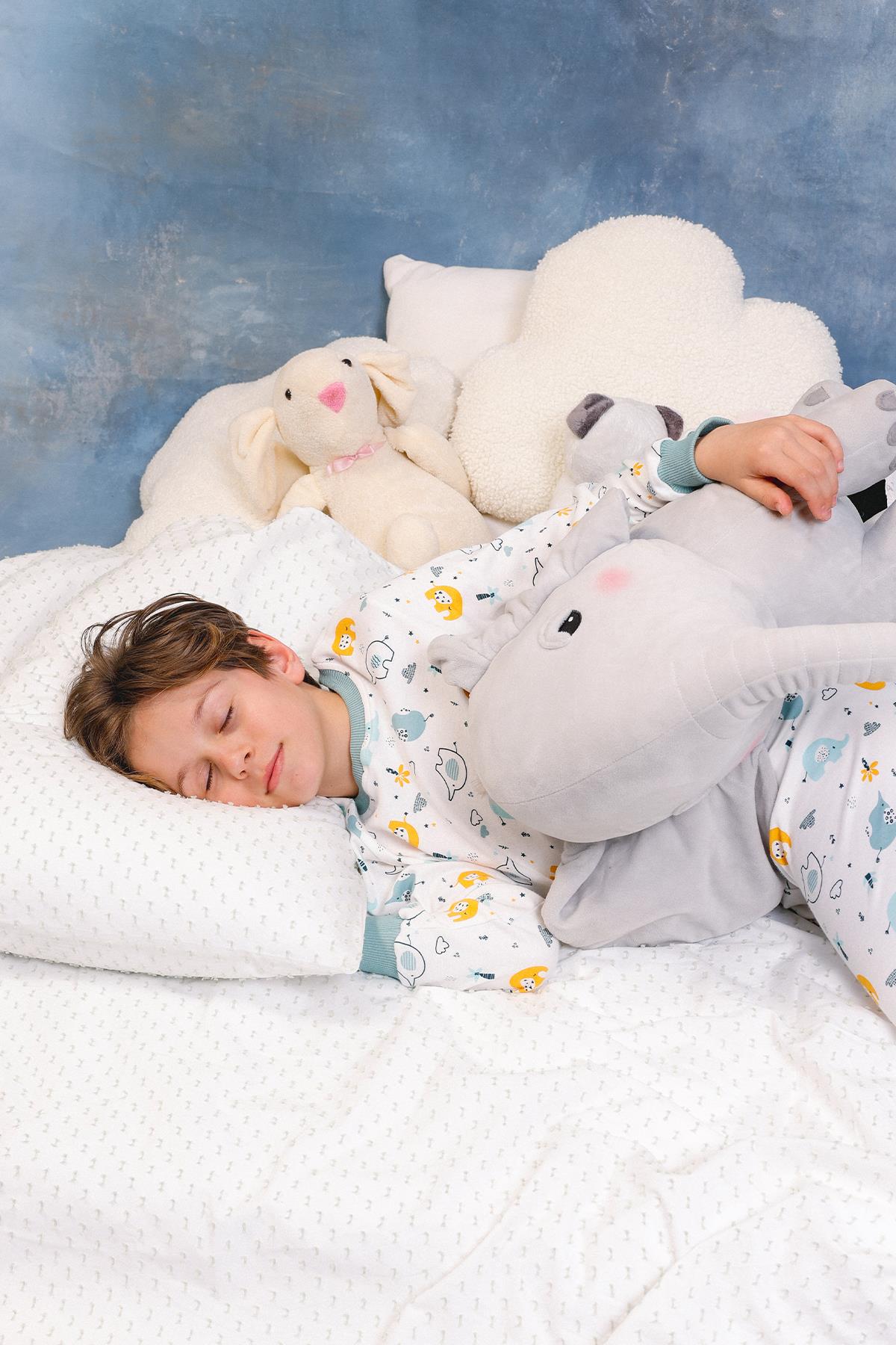 Erkek Çocuk %100 Pamuk Pijama Takımı