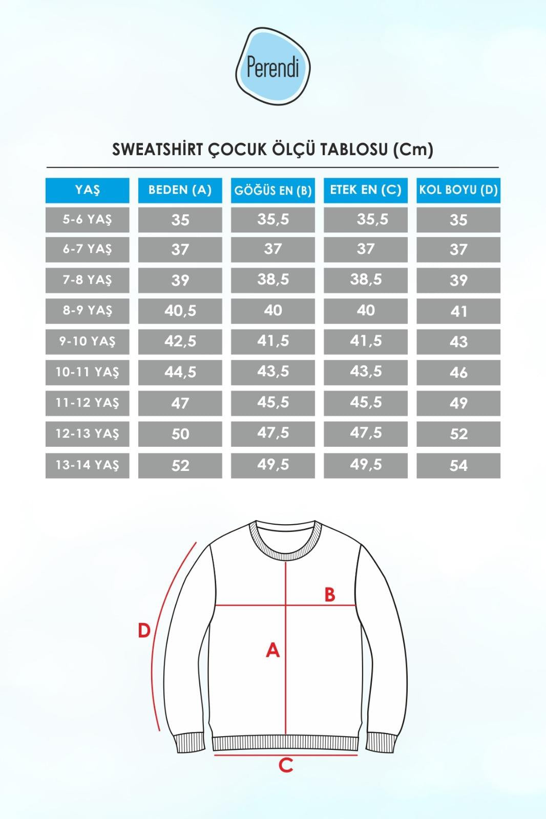 Authentic Nakış Detaylı Erkek Çocuk Sweatshirt Siyah