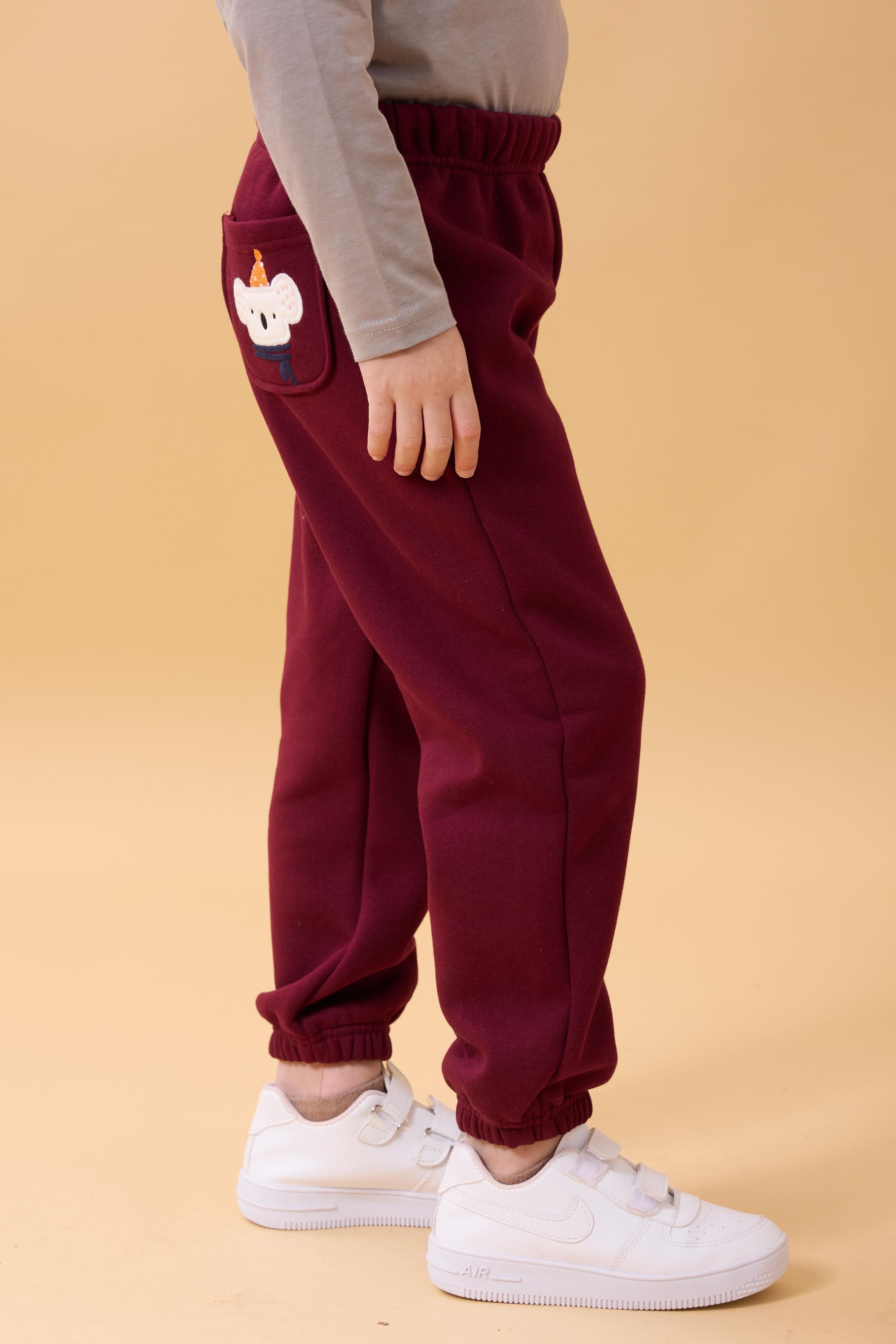 Erkek Çocuk Cep Nakışlı Kurbağa ve Koala 2'li Eşofman Altı Bordo-Antrasit