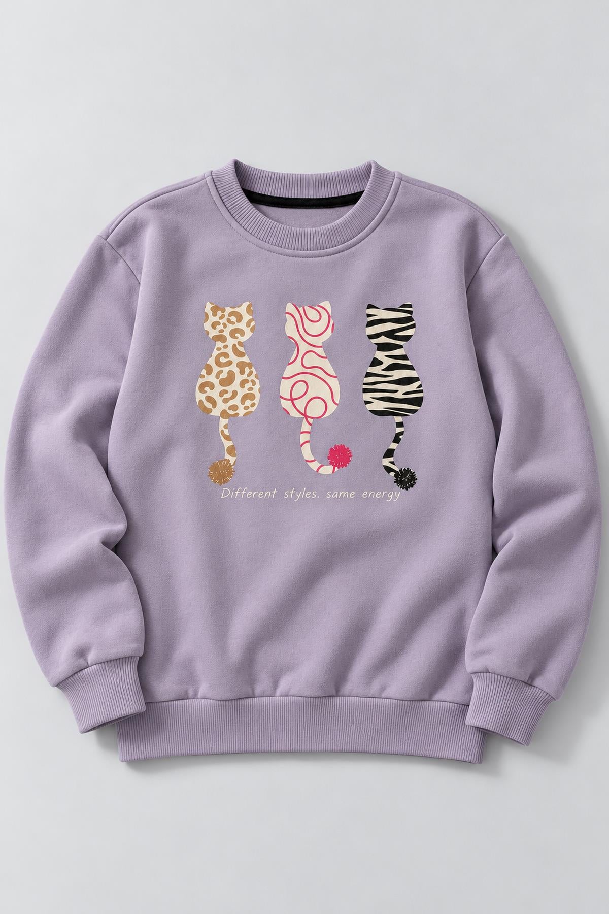 Kız Çocuk 2'li Kedi Baskılı ve Nakışlı Kışlık Sweatshirt