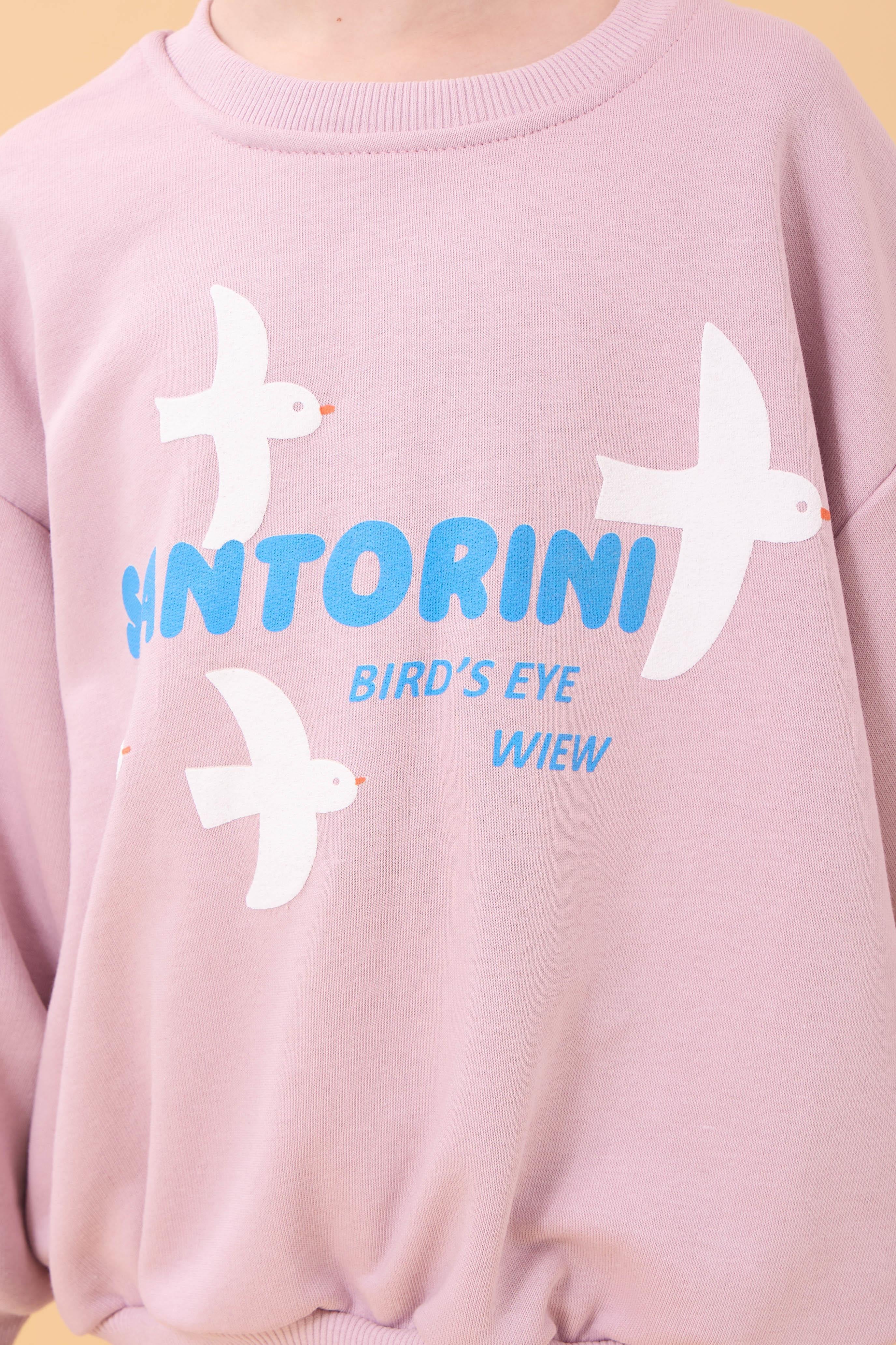 Kız Çocuk Oversize Santorini Baskılı Mevsimlik Sweatshirt Açık Gül Rengi