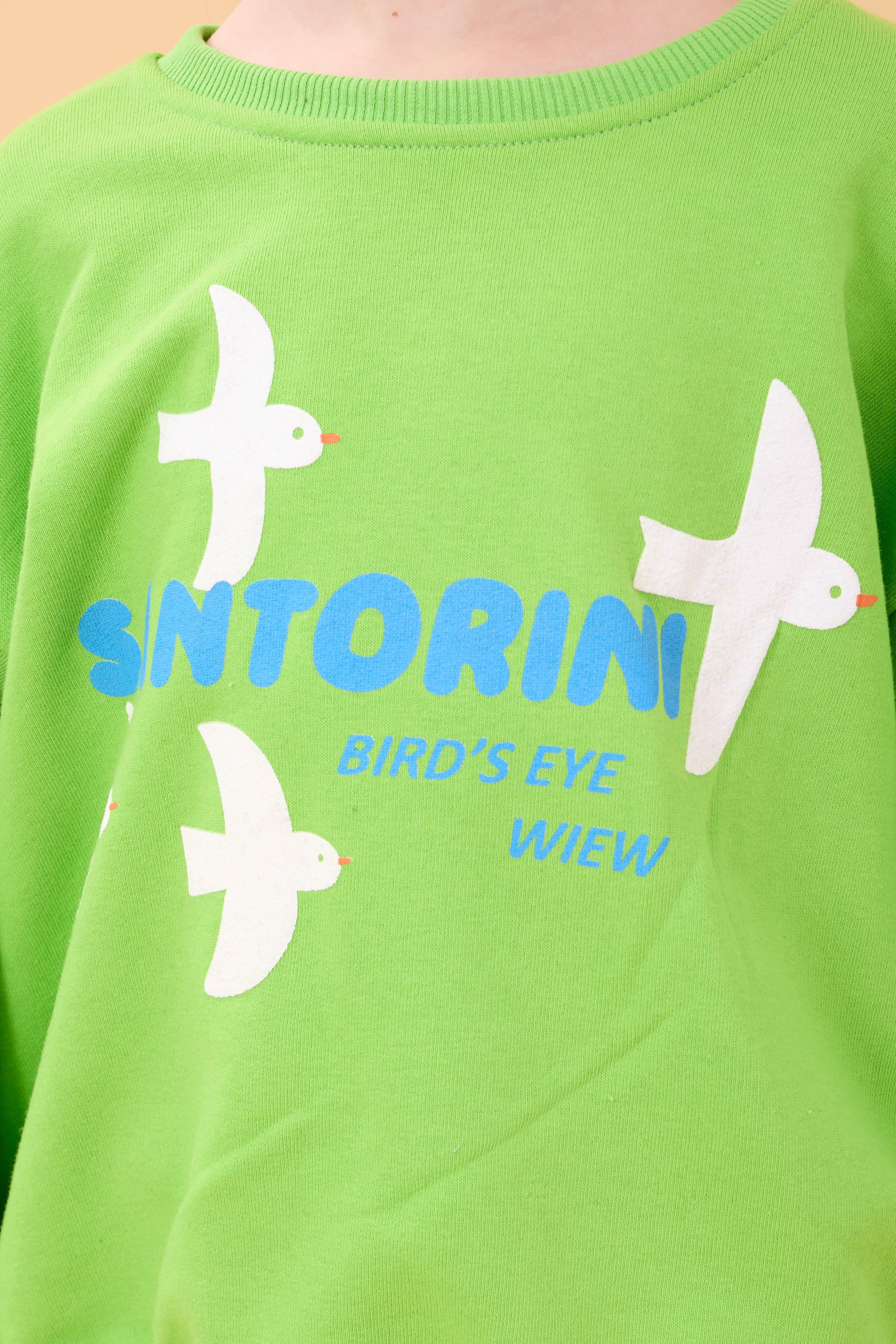 Kız Çocuk Oversize Santorini Baskılı Mevsimlik Sweatshirt Yeşil