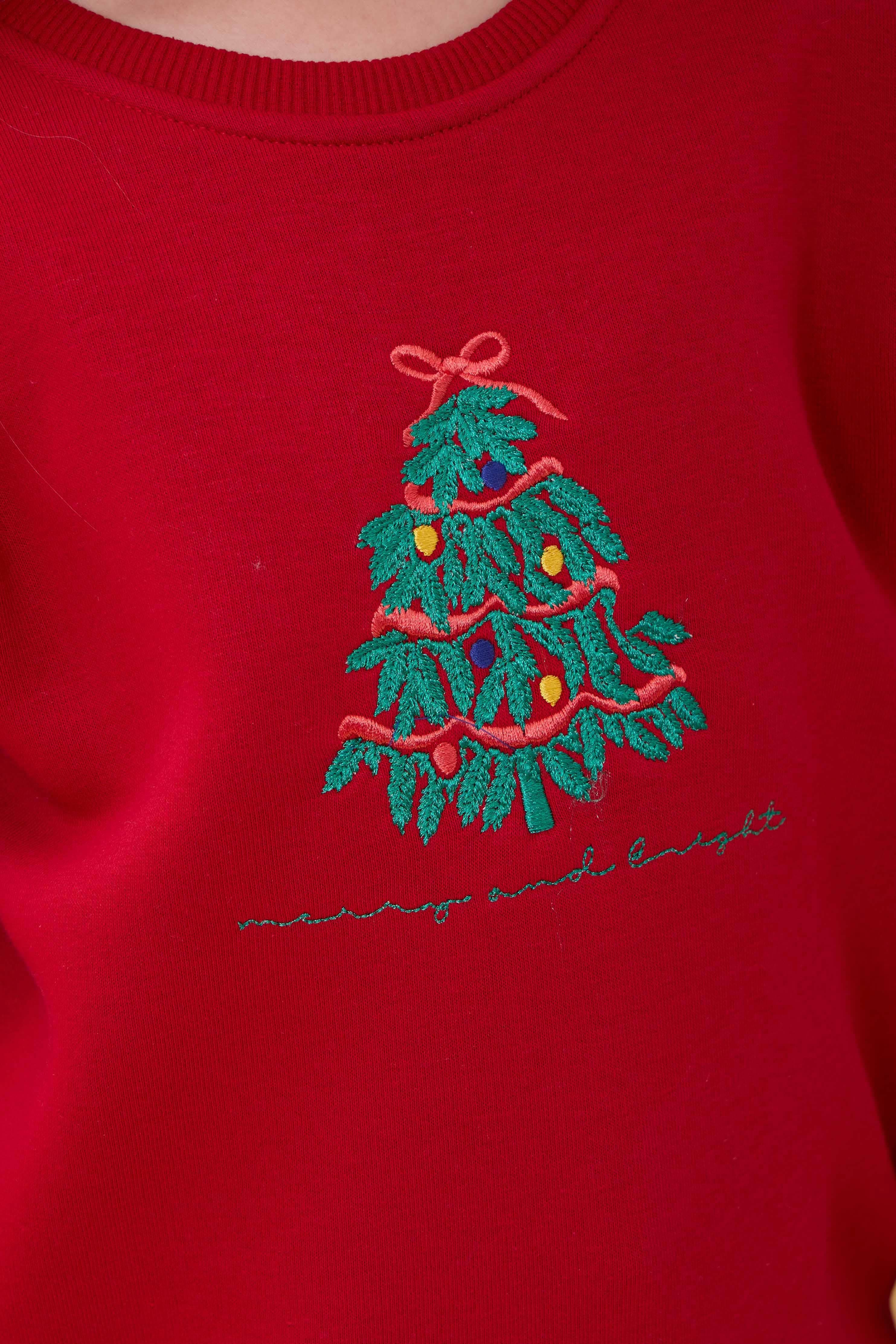 Kız Çocuk Bisiklet Yaka Nakış Detaylı Kışlık Sweatshirt