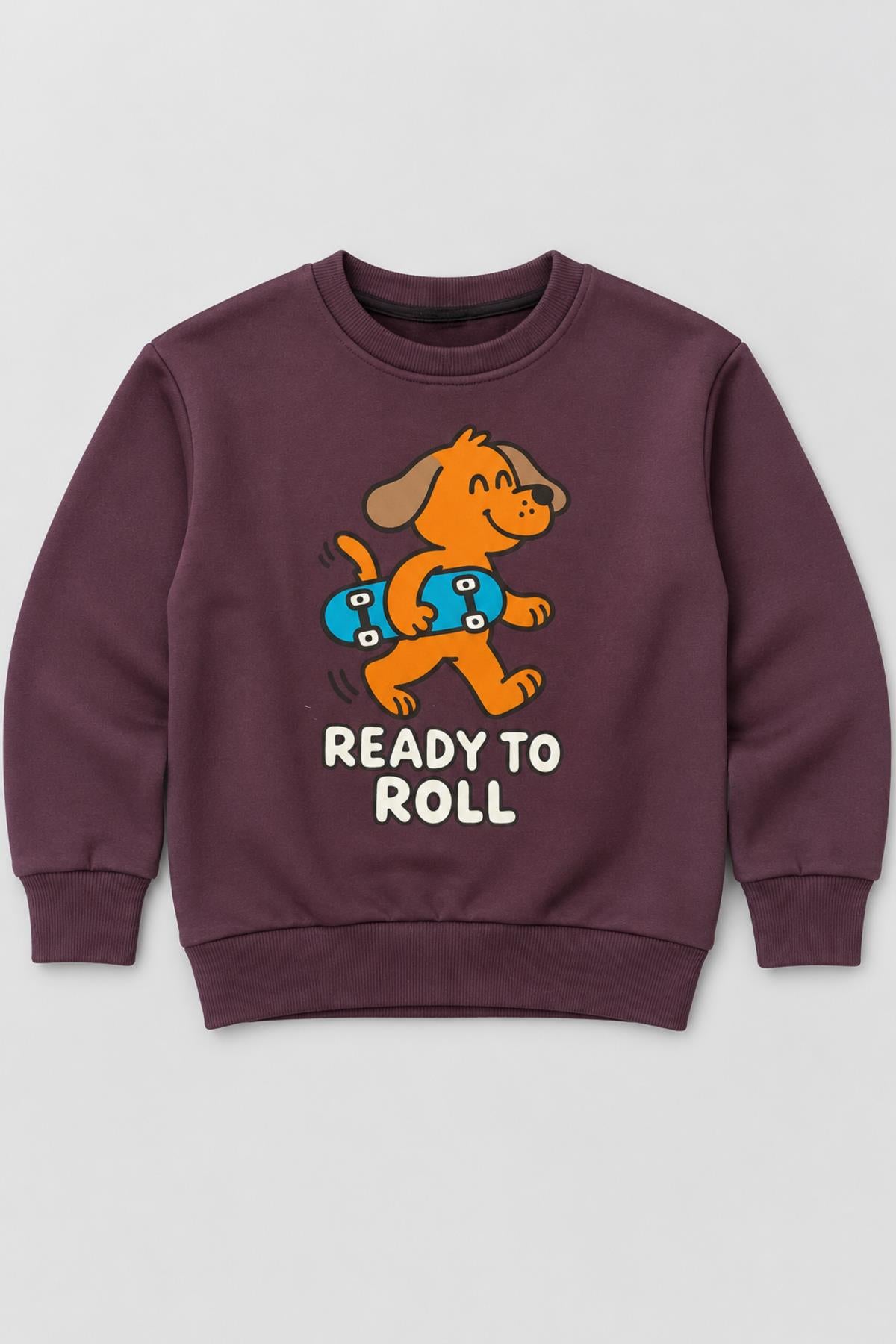 Erkek Çocuk 2'li Baskı ve Nakış Detaylı Kışlık Sweatshirt