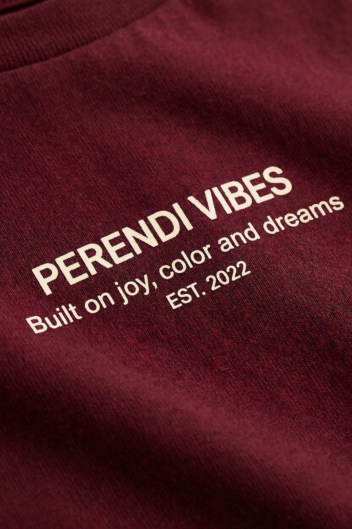 Erkek Çocuk Perendi Vibes Baskılı Oversize Şortlu Takım